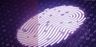 La explosión de los riesgos cibernéticos relacionados con la identidad